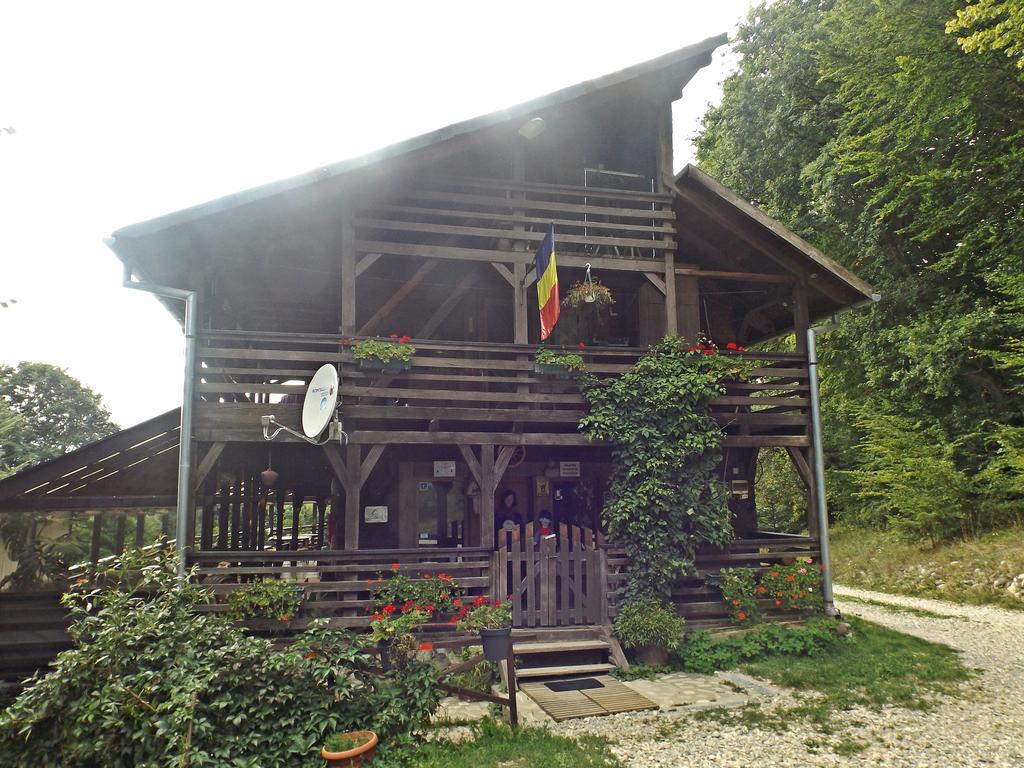 Cabana La Noi Hotel Rîşnov Ngoại thất bức ảnh