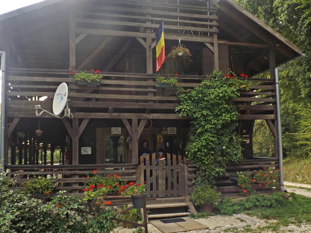 Cabana La Noi Hotel Rîşnov Ngoại thất bức ảnh
